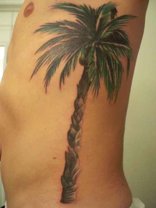 Palm tree side tattoo