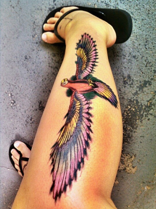 Parrot with long wings leg tattoo