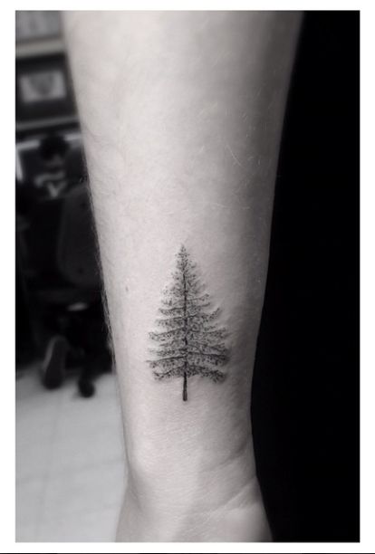 Pine tree tattoo by Dr Woo