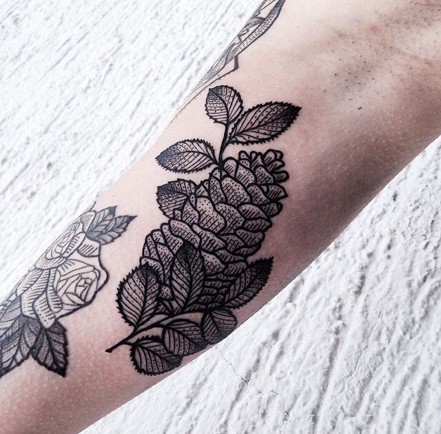 Pinecone tattoo on arm