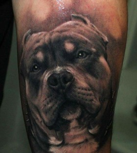 Realistic dog tattoo by Riccardo Cassese