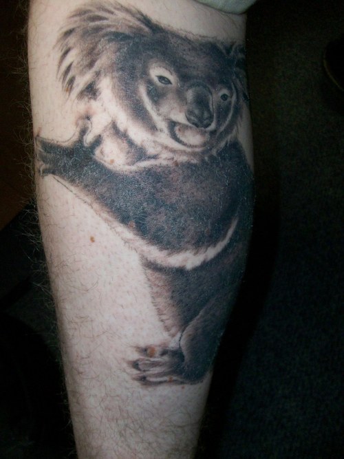 Realistic koala bear tattoo