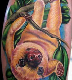 Sloth on a branch tattoo