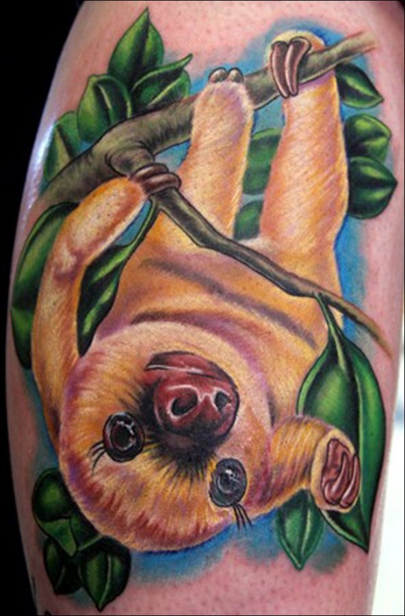 Sloth on a branch tattoo