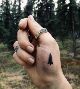 Small pine tree palm tattoo