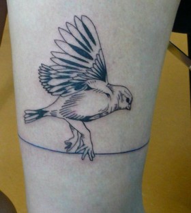 Sweet bird leg tattoo