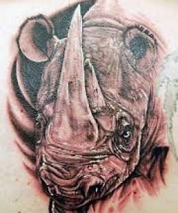Sweet rhino back tattoo