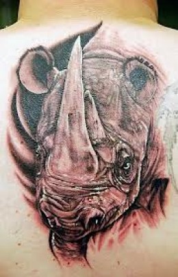 Sweet rhino back tattoo