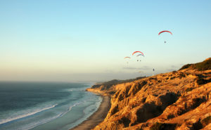 Torrey Pines State Beach in San Diego