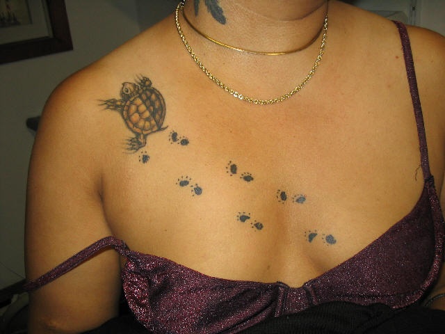 Turtle paws chest tattoo