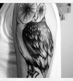 Wonderful owl arm tattoo