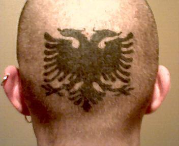 Albanian Eagle Scalp Tattoos