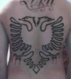 Original Albanian Eagle Tattoo 