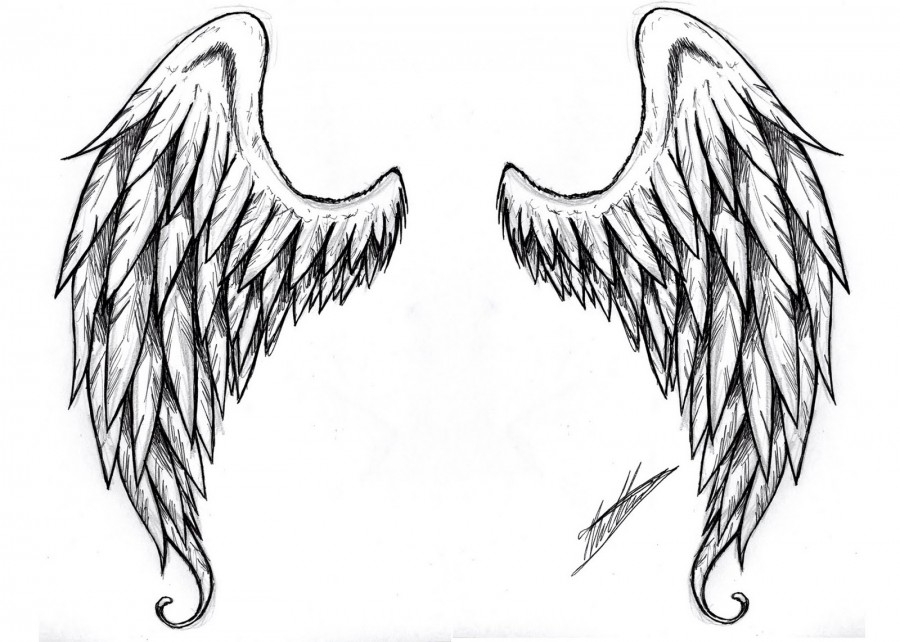 Angel Wing Tattoo Sketch Designs