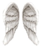 White Angel Wings 