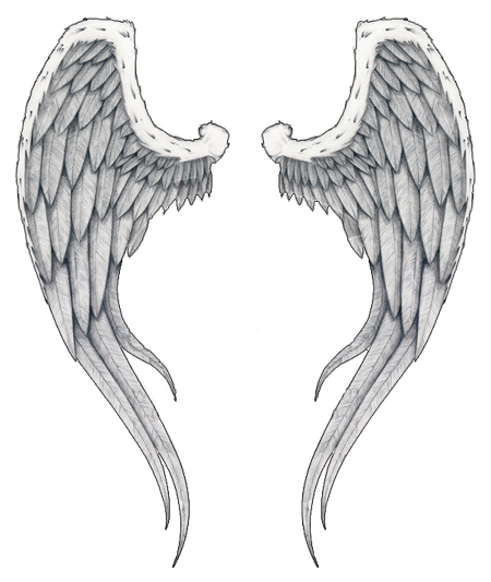 Unique Angel Wings Art Sketch