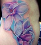 Beautiful Aster Flower Tattoo Design