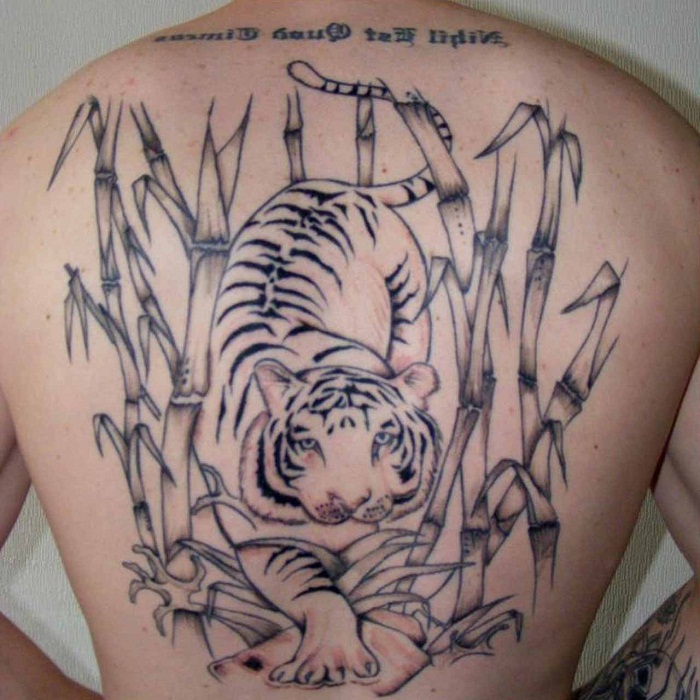 bamboo and tiger back tattoo