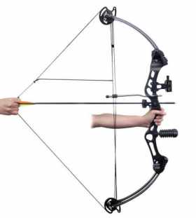 best compound bow 2021