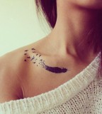 Cute Feather Tattoo Design on Shoulder for Girls