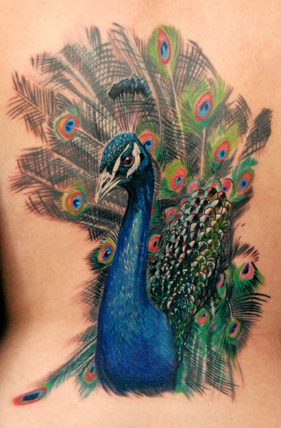 Beautiful Peacock Bird Tattoos Design Ideas