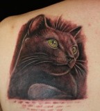 3D Black Cat Tattoos on Shoulder