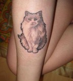 Hairy Cat Calf Tattoo for Girl