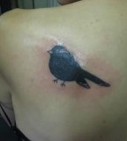 Black Sparrow Tattoo