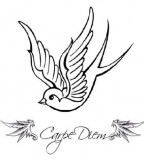 Carpe Diem Sparrow  Tattoo Picture At Checkoutmyink