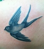 Sparrow Tattoo