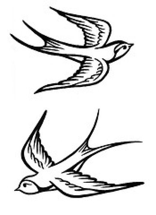 Sparrow Tattoos Ideas Pictures Of Sparrow Tattoos