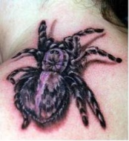 3D Black Widow Spider Web Tattoos And Meanings