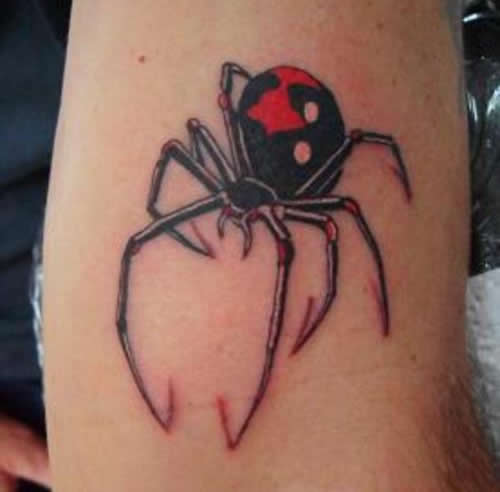 Black Widow Spider Tattoos Pictures Information