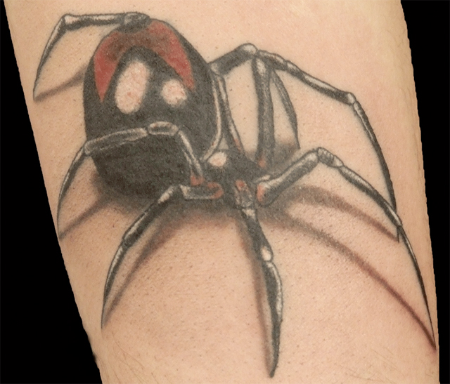 Red Back Spider Tattoo in 3D