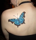 Sweet Blue Butterfly Tattoo On Back For Girls