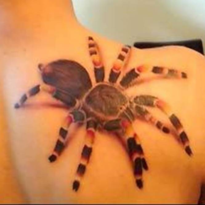 3D Tarantula Tattoo Design for Girls