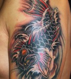 Koi Fish Amp Shark Tattoo Designs Body's Style