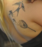 Dandelion And Sallow Bird Tattoos