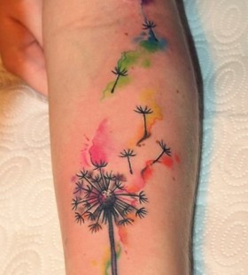 dandelion dandelion