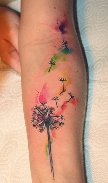dandelion