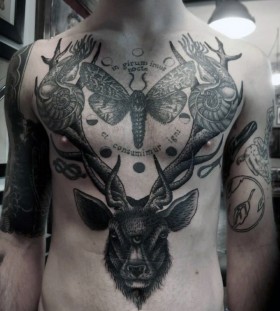 deer and moth tattoos for men deer and moth tattoos for men