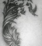 Beautiful Feather And Bird Tattoo Design Ideas