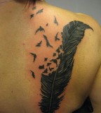 Bird Crow Feather Tattoos On The Upper Back