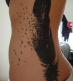 Bird Feather Tattoo Lilzeu Tattoo De