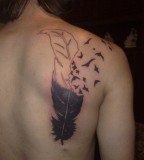 Bird Feather Tattoo Lilzeu Tattoo De