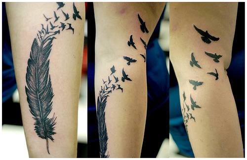 Feather And Birds Tattoo