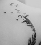 Feather And Birds Tattoo