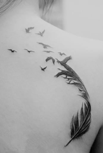 Feather And Birds Tattoo