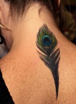 Feather Tattoo Galleryfeather Tattoo Designsfeather Tattoos And