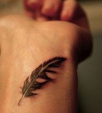 Inkwear Feather Bird Tattoo Page 2 Ajilbabcom Portal